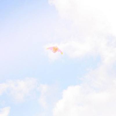 驱魔传手游下载