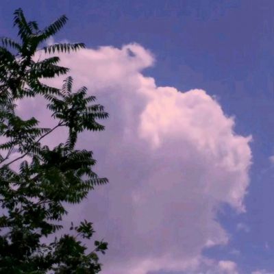 我们之间攀爬手机版下载